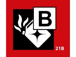 Smartwares 10.033.68 Blusspray -Tenten en Accessoires Winkel 68 4 smartwares blusspray 10 033 68